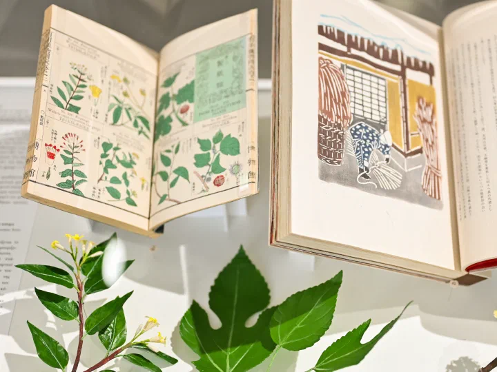 Handmade Paper from Asia to Europe