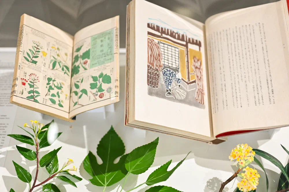 Handmade Paper from Asia to Europe