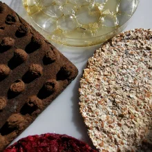 Bioplastics: Making Bioplastics from Algae Extracts with Surzhana Radnaeva