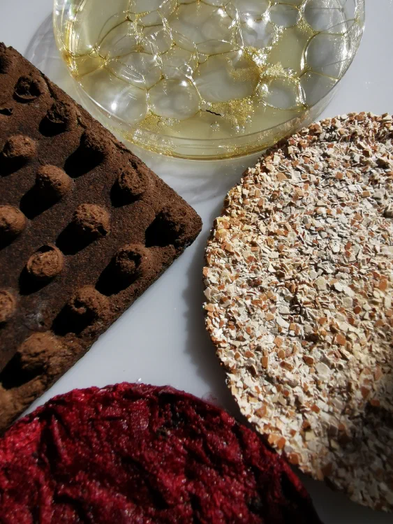 Bioplastics: Making Bioplastics from Algae Extracts with Surzhana Radnaeva
